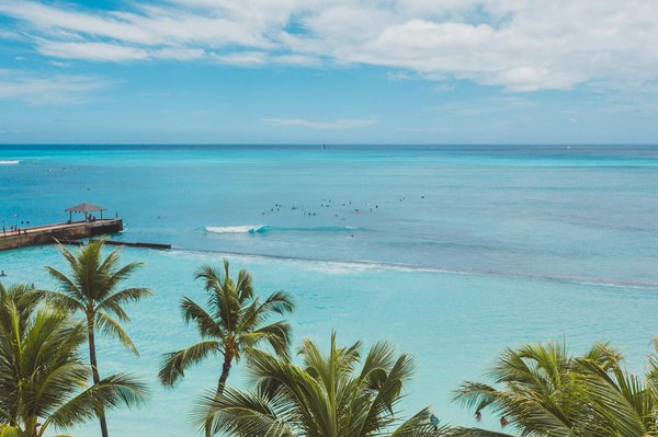 Quels sont les meilleurs spots pour observer les dauphins au large des Açores?