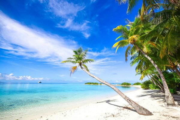 Comment organiser un séjour en Toscane avec des cours de cuisine et des visites de vignobles?